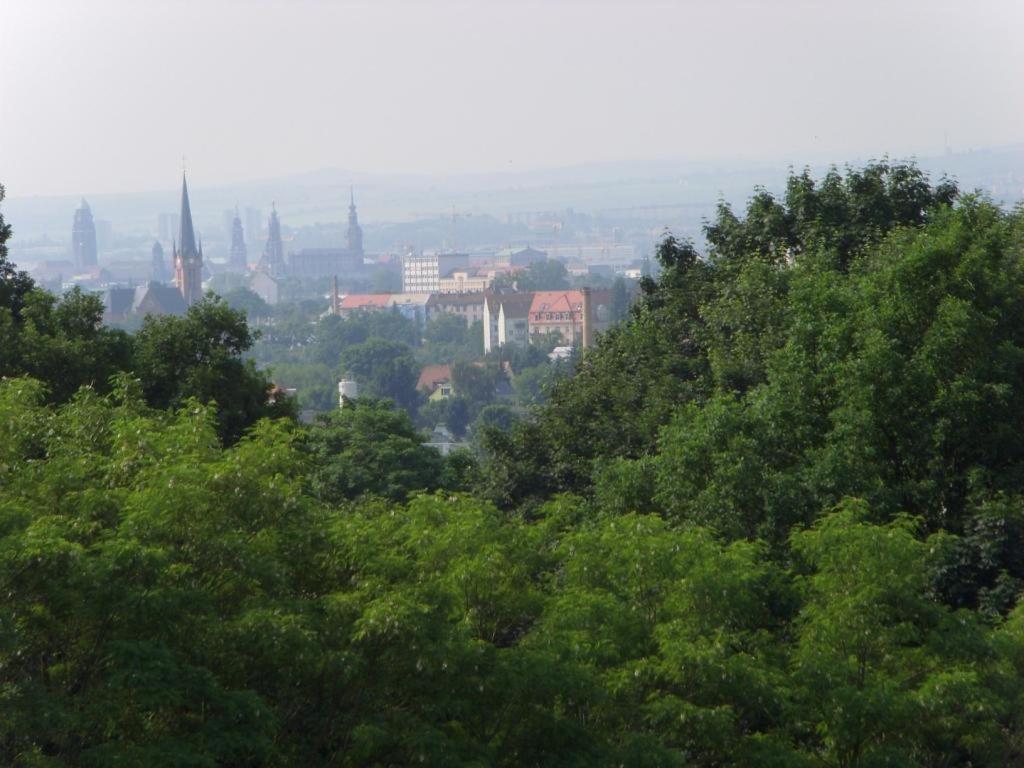 Apartment Dresden-trachenberge-stadtblick *
